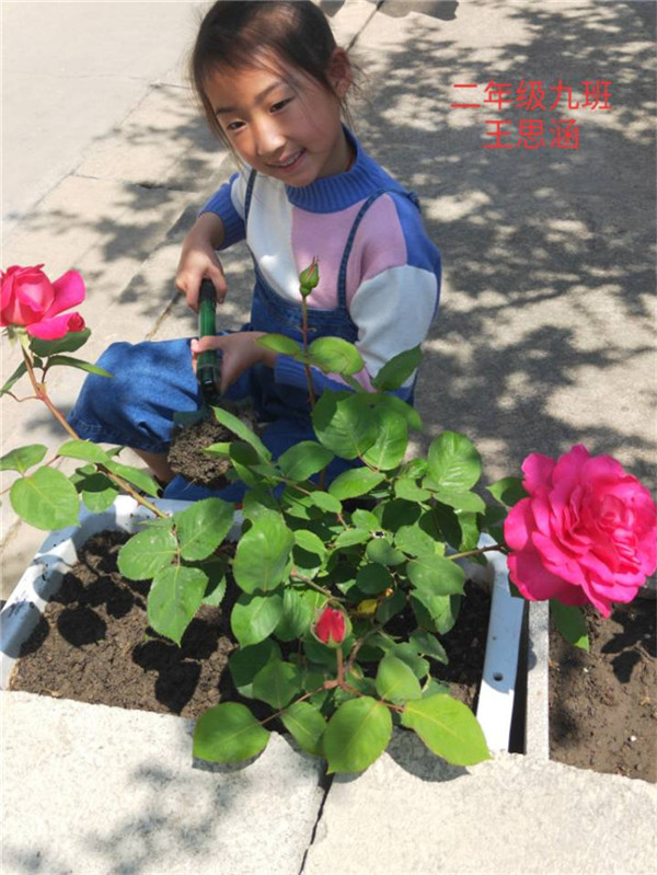 我跟父母学家务