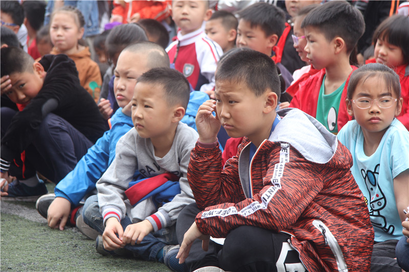 学习自救自护，搭建生命绿洲
