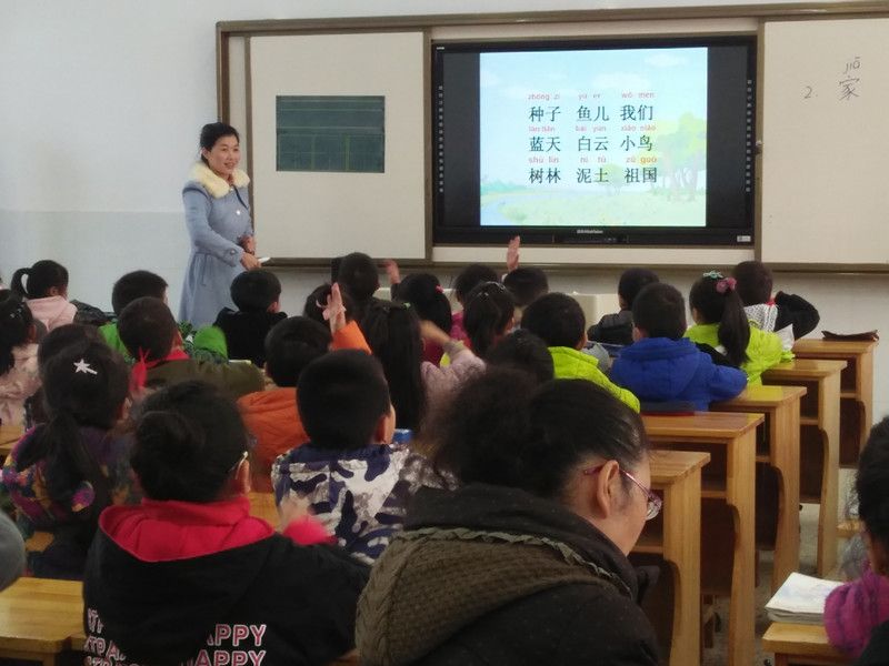 我校开展一年级语文新教材备课手册编写研讨活动