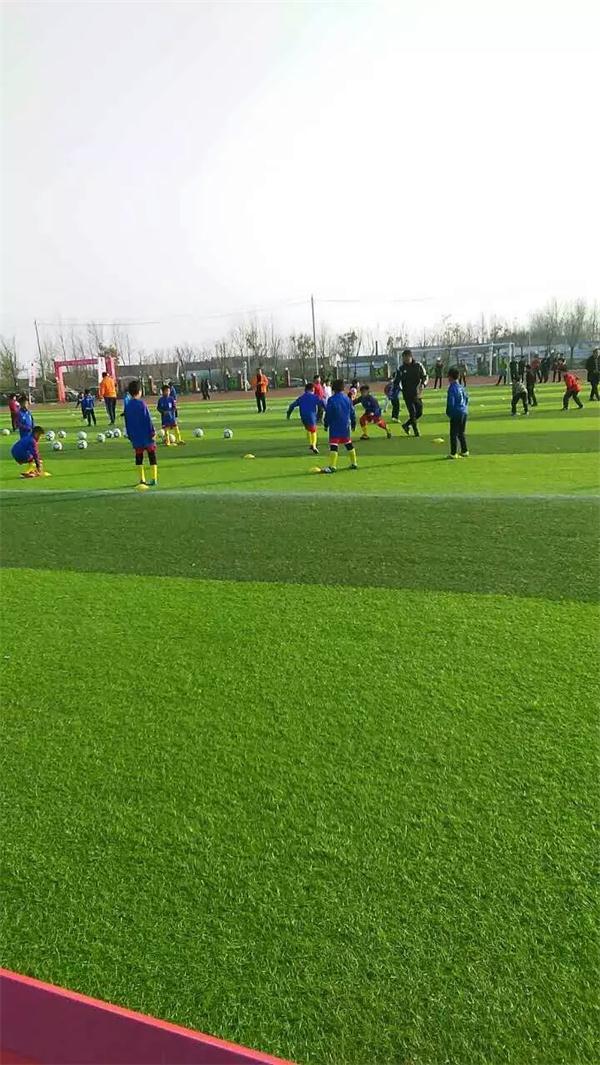 我校学生参加“省长杯”精英训练营活动